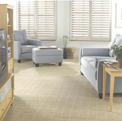 Carpet Flooring in Valencia, PA.