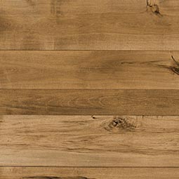 Saltbox Collection Concord